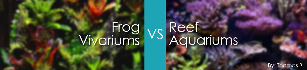 Header Reefs Vs Vivs